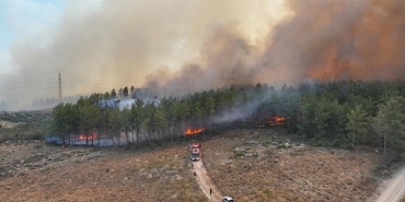 antalyada-4-farkli-noktada-orman-yangini-cikti-14yJ9CwP.jpg