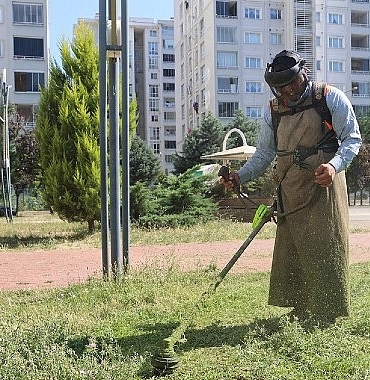 canikte-parklar-bakimli-ve-tertemiz-gFYdQZr7.jpg