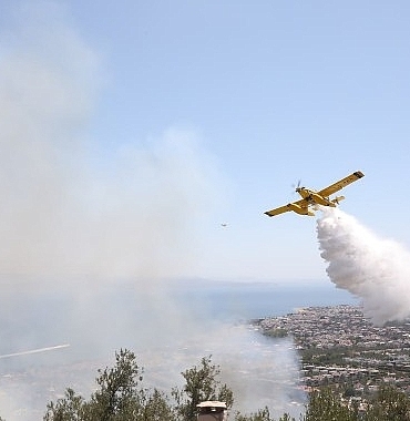 edremitte-zeytinlikte-cikan-yangin-ormana-sicramadan-sonduruldu-ZPHyHQA9.jpg