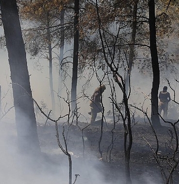 ibbden-bursadaki-orman-yanginina-acil-destek-eOxwaeTn.jpg