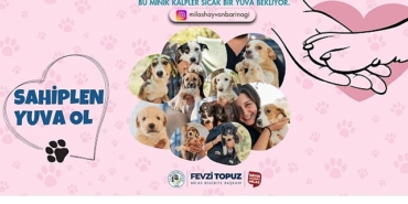sevimli-dostlarimiz-sicak-yuvalarini-bekliyor-TzWIz4ZH.jpg