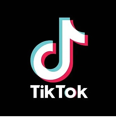 tiktok-arastirmasina-gore-arama-aliskanliklari-degisiyor-kullanicilar-artik-ilham-pesinde-bfQFler5.jpg