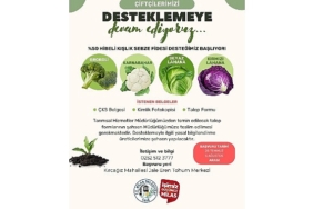 yuzde50-hibeli-kislik-sebze-fidesi-basvurulari-basliyor-3YtxRKRJ.jpg