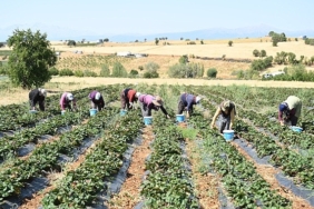 baskan-altay-tarimin-her-alaninda-ureticimizin-yaninda-olmaya-devam-edecegiz-QGb6JARV.jpg