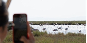 flamingo-yolu-turlari-basladi-BIBhfVw2.jpg