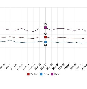 isgucu-istatistikleri-temmuz-2025-nTZdM2P8.jpg
