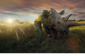 son-gergedanlar-yeni-bir-umut-21-eylul-pazar-2000de-national-geographic-ekranlarinda-b5cWLYT7.jpg